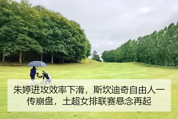 zhu-ting-jin-gong-xiao-lv-xia-hua-si-kan-di-qi-zi-you-ren-yi-chuan-beng-pan-tu-chao-nv-pai-lian-sai-xuan-nian-zai-qi-2-374.jpg